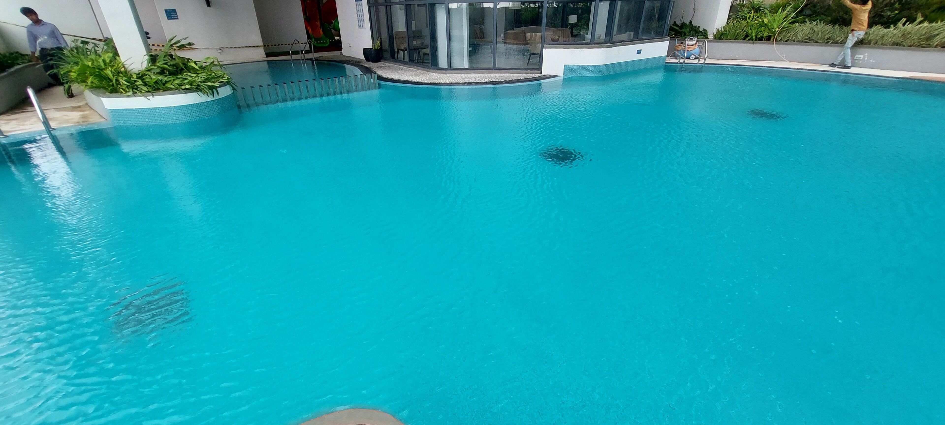 A clear blue pool with a ladder, surrounded by a modern building with glass doors and plants.