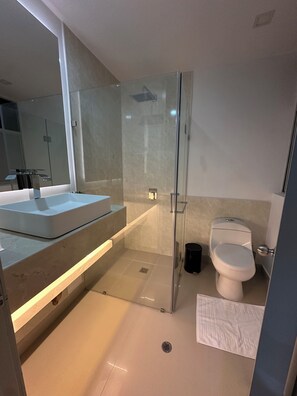 Hair dryer, towels, soap, toilet paper