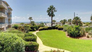 A landscaped garden with a pathway leading to a beach, palm trees, and a building with balconies overlooking the ocean. - Ocean Pearl= pool,  beachfront, elevator (Tybee Island)
