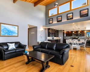 Smart TV, fireplace, books, music library