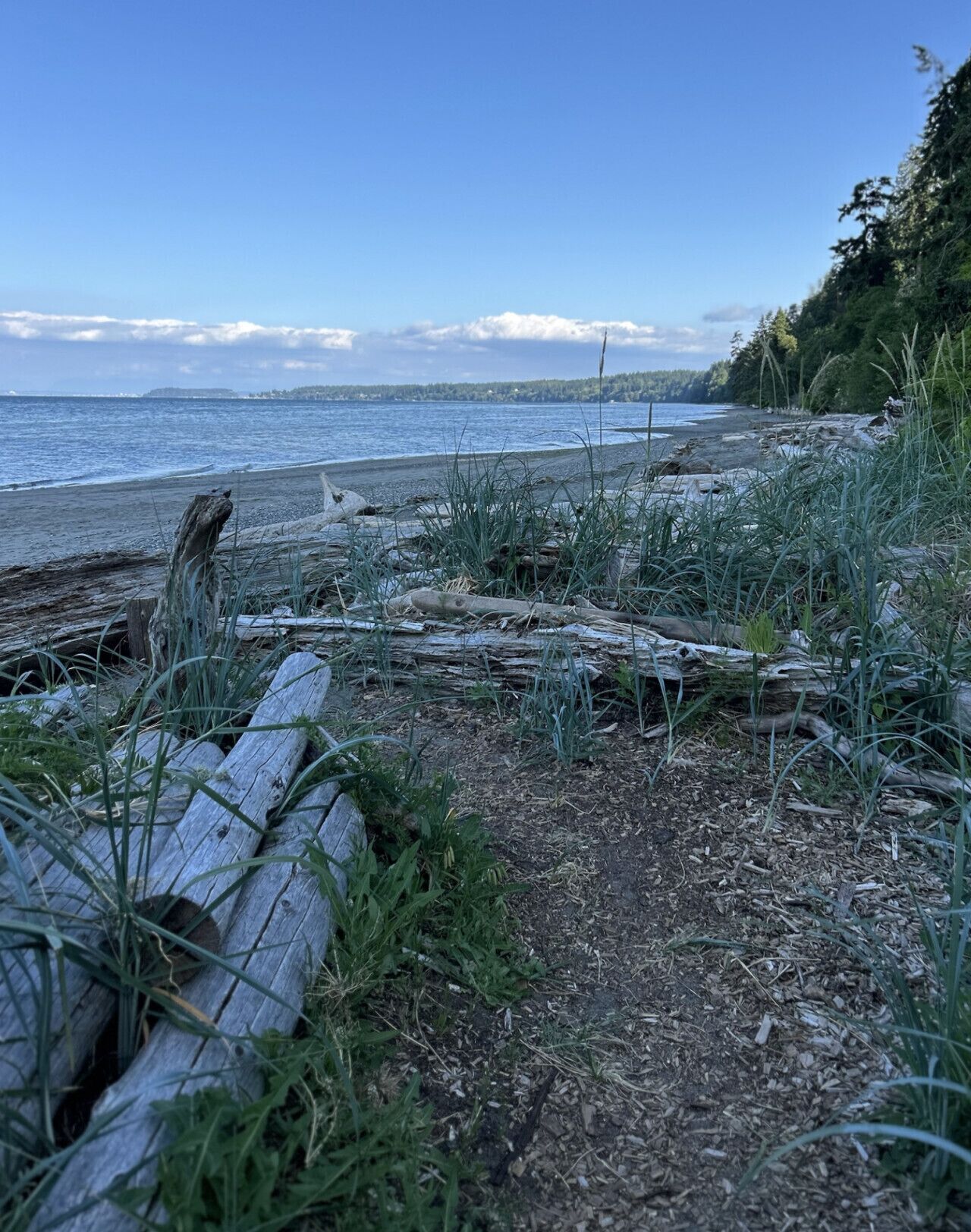 Ubicación cercana a la playa, tumbonas y toallas de playa