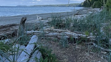 Ubicación cercana a la playa, tumbonas y toallas de playa
