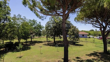 Jardín