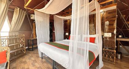 Nestonature Glamping Dharamshala