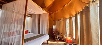 Nestonature Glamping Dharamshala
