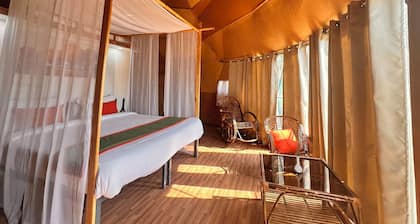 Nestonature Glamping Dharamshala