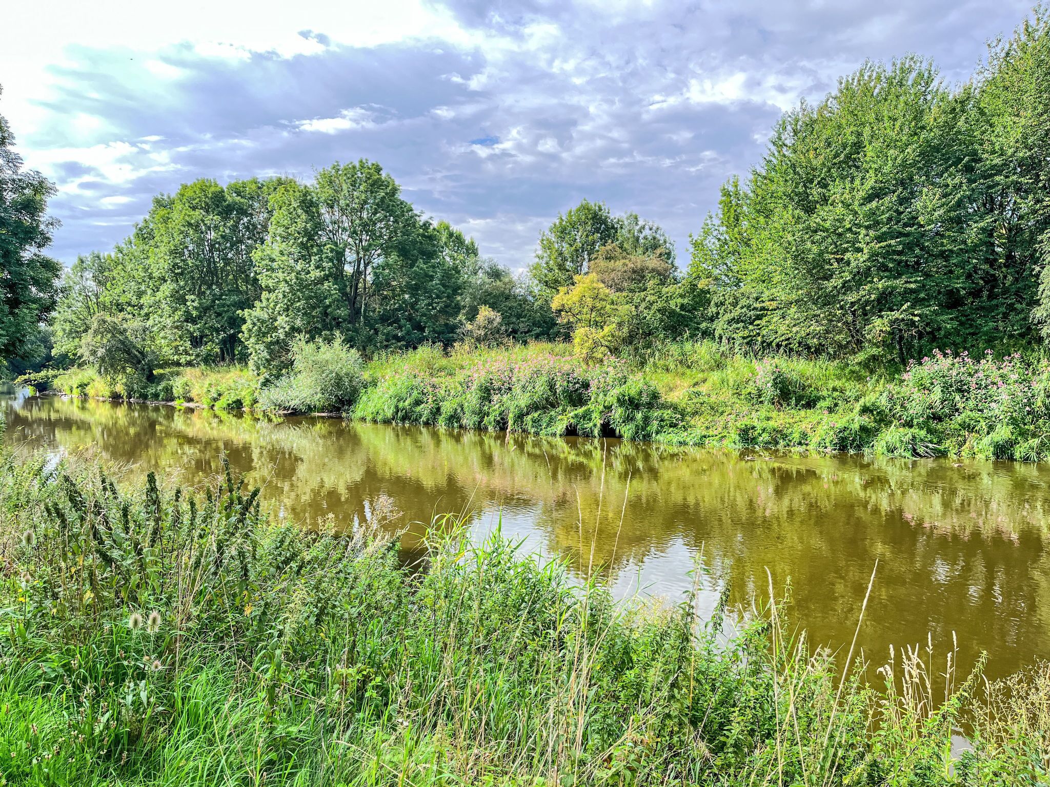 Un río tranquilo bordeado de abundante vegetación y árboles.