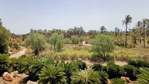 A desert garden with various plants and trees, a dirt path, and a clear sky. - Can Xesquet - Villa With Private Pool. Free Wifi (Ses Salines, Illes Balears)