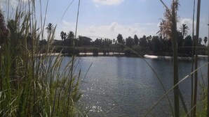 A calm lake with tall grasses in the foreground and a clear sky. - Can Xesquet - Villa With Private Pool. Free Wifi (Ses Salines, Illes Balears)