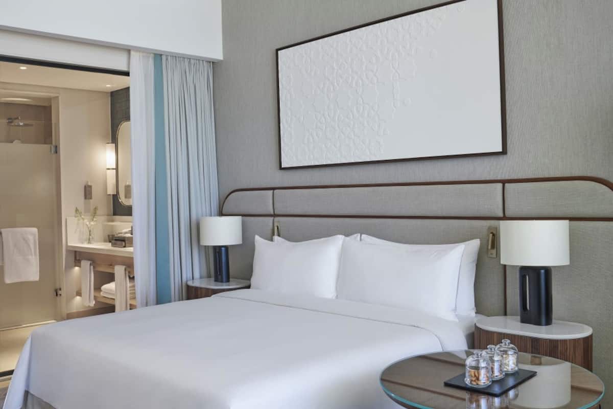 Minibar, desk, iron/ironing board, free WiFi