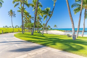 Ein gepflasterter Weg, gesäumt von Palmen, der zu einem Strand mit einer Bank und einer Rasenfläche führt.