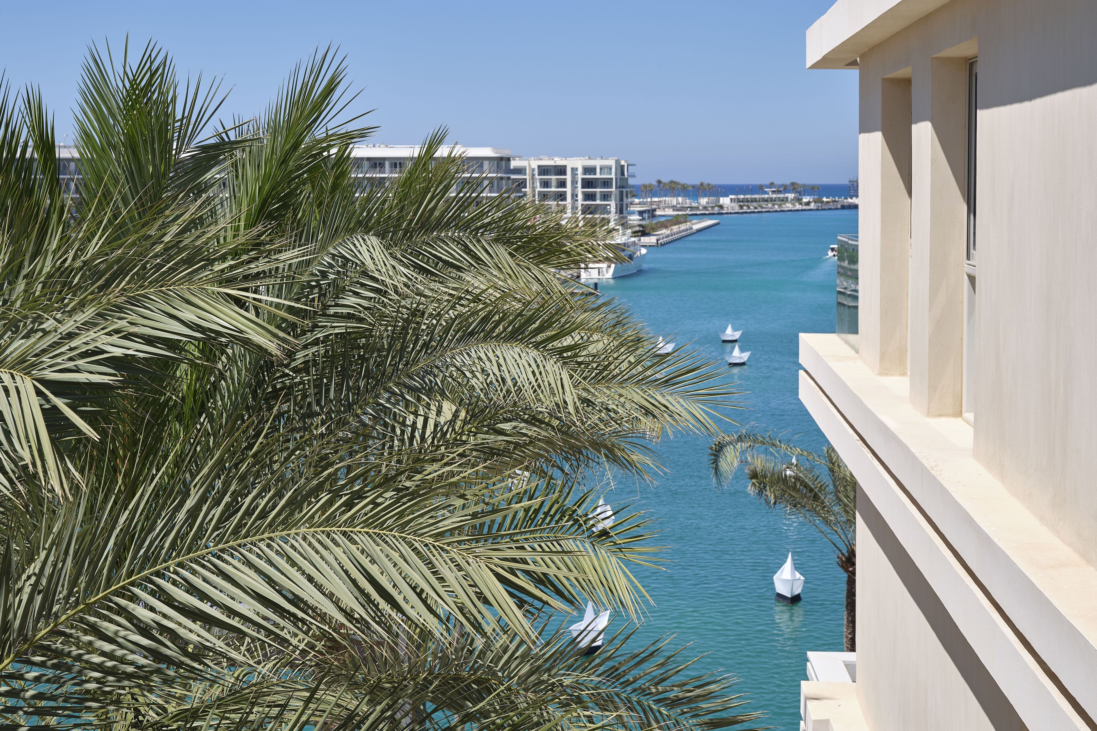 Vista desde la propiedad