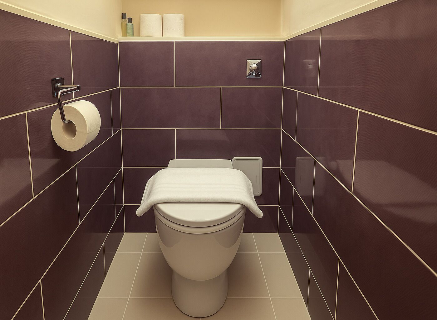 Een badkamer met een toilet, donkerbruine tegels en een beige vloer.