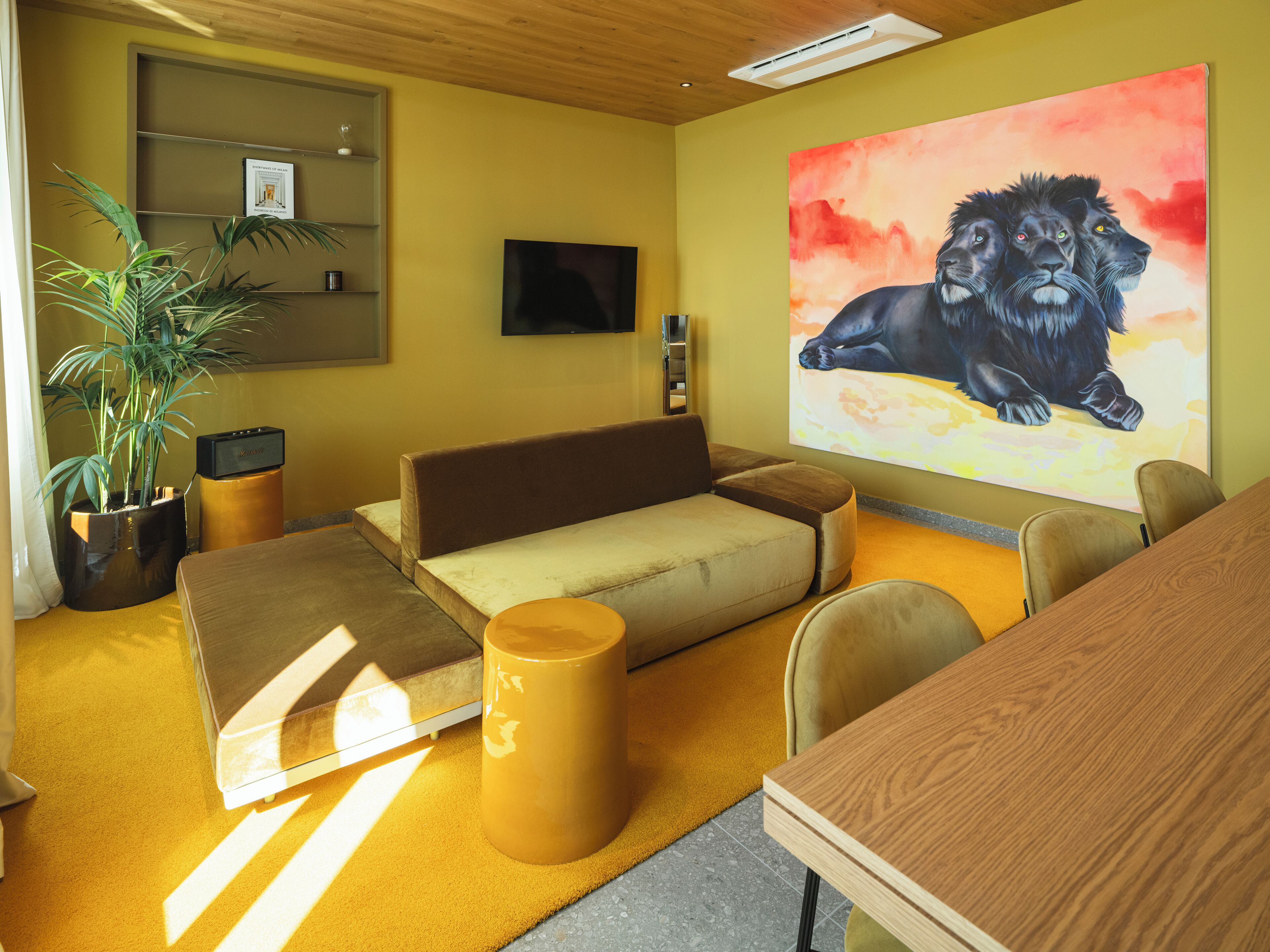 Ein modernes Zimmer mit einer Couch, einem Couchtisch, einem Fernseher und einem Löwenbild.