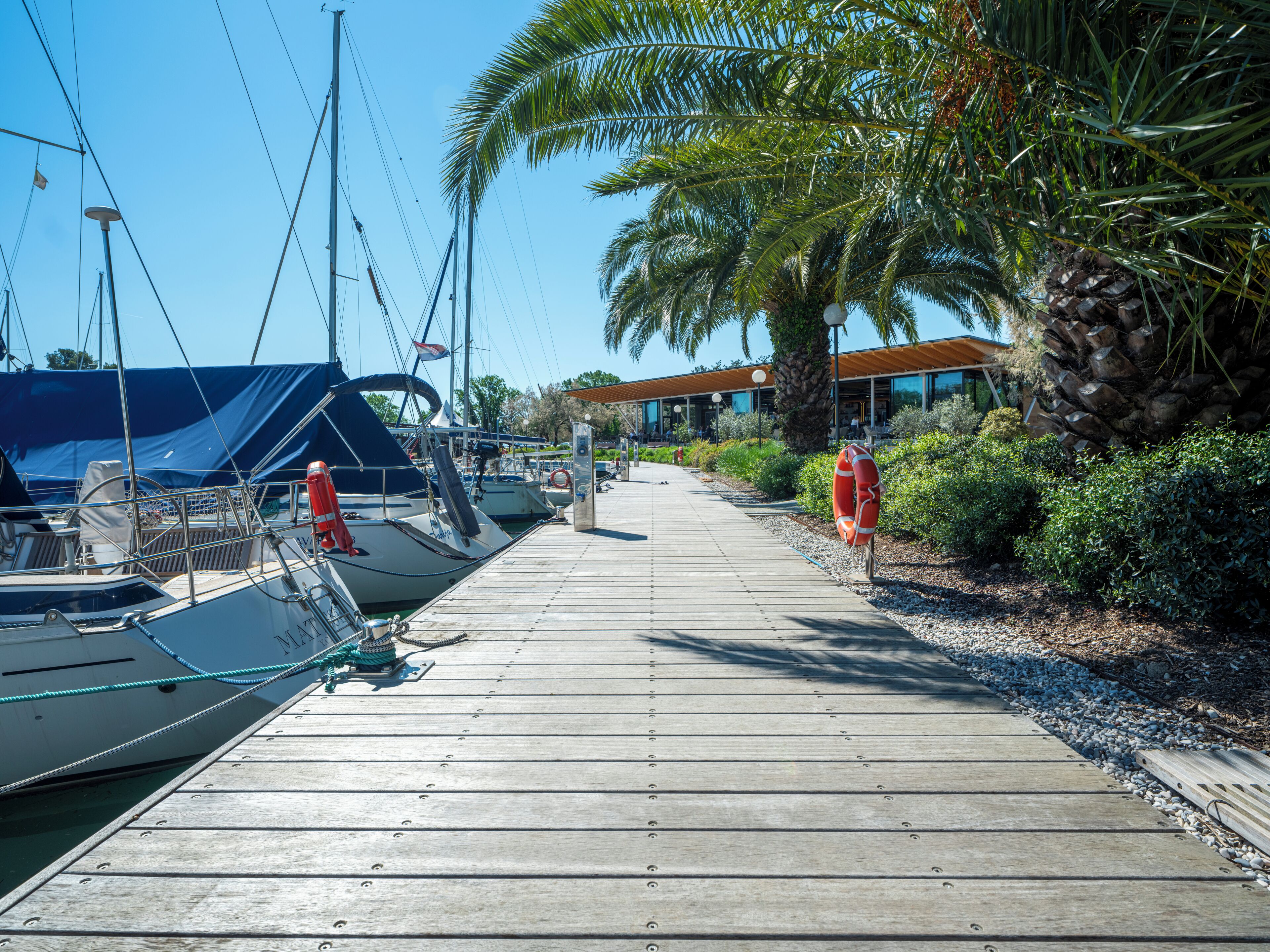 Une jetée en bois mène à une marina où se trouvent des bateaux, des palmiers et un bâtiment doté de grandes fenêtres.