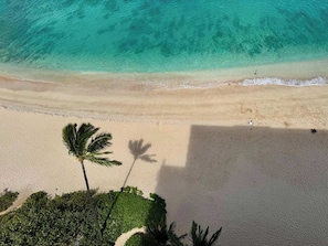 Vista aérea de una playa con agua turquesa cristalina, orilla arenosa y palmeras.