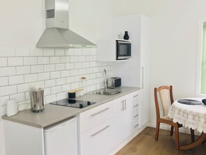Fridge, microwave, stovetop, electric kettle