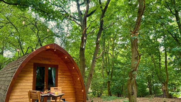 A wooden AELRED POD in a forest, with a table and chairs outside, and a barbecue grill. - Aelfred Pod (West Stow)