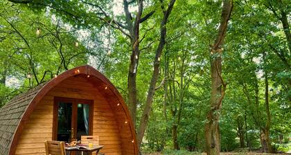 Aelfred Pod - in a calm woodland setting- ready for glamping?