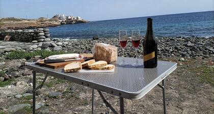 Alquilercampertenerife