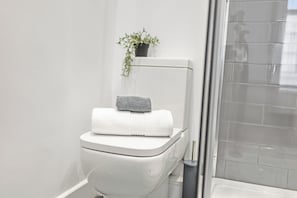 Apartamento família, para não fumantes | Banheiro | Chuveiro, secador de cabelo, toalhas de banho, papel higiênico