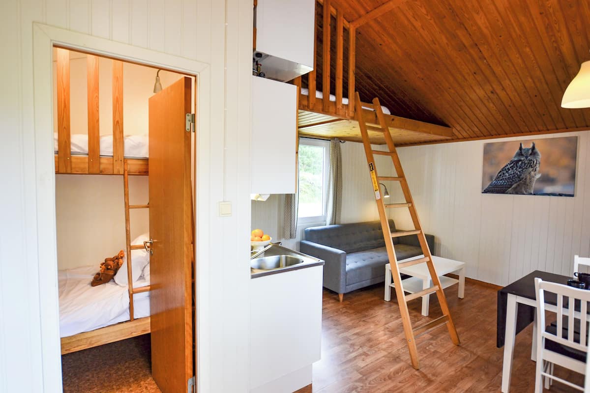 A compact room with a bunk bed, a small kitchenette, a sofa, a dining table, and a ladder to a lofted area.