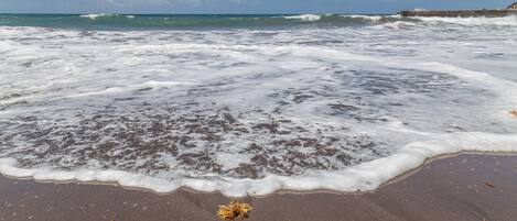 Tæt på stranden