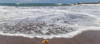 Vacation 'Las Sirenas Ii' with Wi-Fi and Air Conditioning