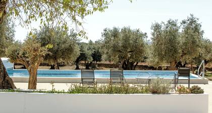CASA DAS OLIVEIRAS A haven of tranquillity, where nature reveals all its beauty.
