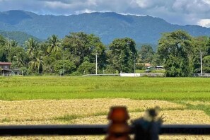 A rural landscape with a field, trees, and a mountain in the background. - Tung Homestay (Nan)