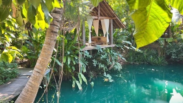 A wooden deck leading to a small gazebo over a pool, surrounded by lush greenery. - Tung Homestay (Nan)