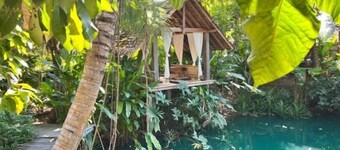 Tung Homestay