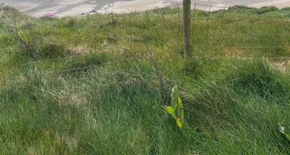 BEAUTIFUL COTTAGE IN IRELAND DIRECTLY ON THE COAST