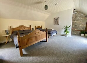 1 bedroom, WiFi, bed sheets - BEAUTIFUL COTTAGE IN IRELAND DIRECTLY ON THE COAST (Bannow)
