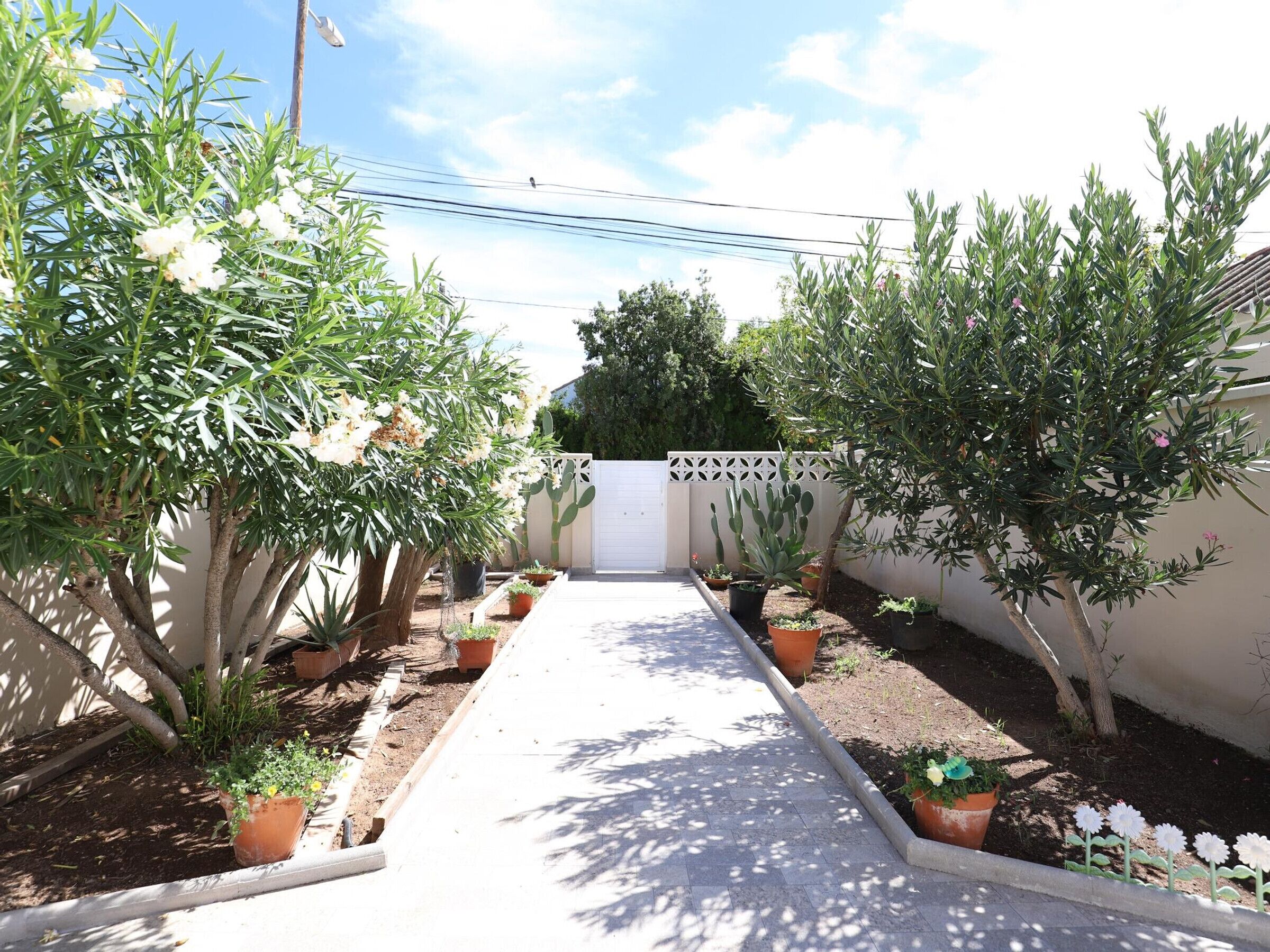 A pathway flanked by potted plants and cacti, leading to a white gate.