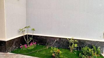 Servicio de la propiedad