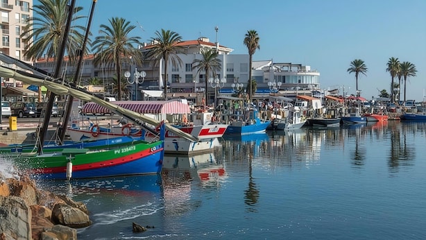 A marina with boats docked, palm trees, and buildings in the background. - St Cyprien: The art of seaside living (Saint-Cyprien)