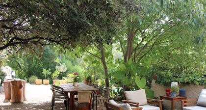 Large villa on 1800 m2 of wooded land with swimming pool north of Montpellier