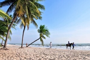A beach with palm trees and a horse. - Sense Pool Villa Hua Hin – 4BR&BBQ, 5 Min Walk to the Beach (Hua Hin)