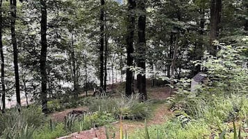 Terrain de l’hébergement