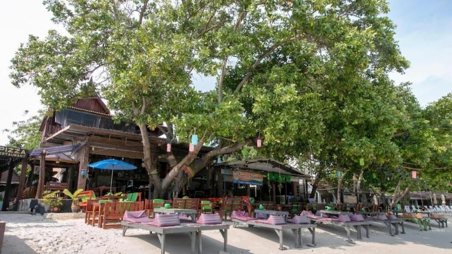 Greenplace-Samed Seahorse