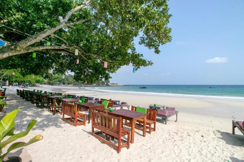 A beachside restaurant with wooden tables and chairs, a large tree providing shade, and a view of the ocean.