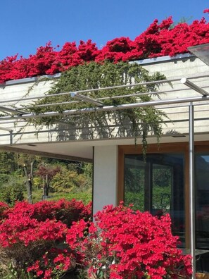 Exterior detail - Mergozzo Beach Bella Vista (Mergozzo)