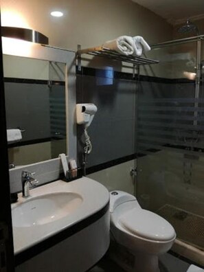 Shower, free toiletries, hair dryer, bidet