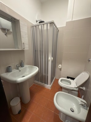 Shower, hair dryer, bidet, towels