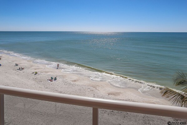 On the beach - Leonardo Arms 529 Beachfront 2B/2B Vacation Condo! Palm Trees And Sunshine! (Fort Myers Beach)