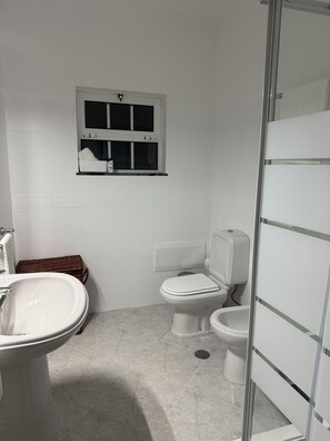 Shower, hair dryer, bidet, soap
