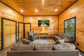 TV, fireplace, video games