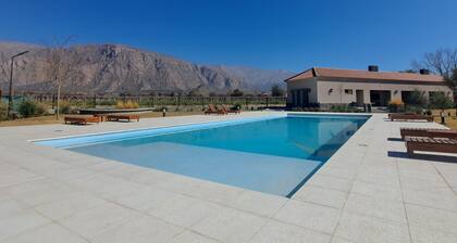 Buena Vid- Cafayate- Between Wineries