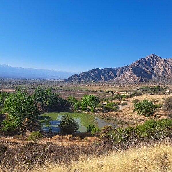 A mountainous landscape with a small pond, dry grassland, and scattered trees.